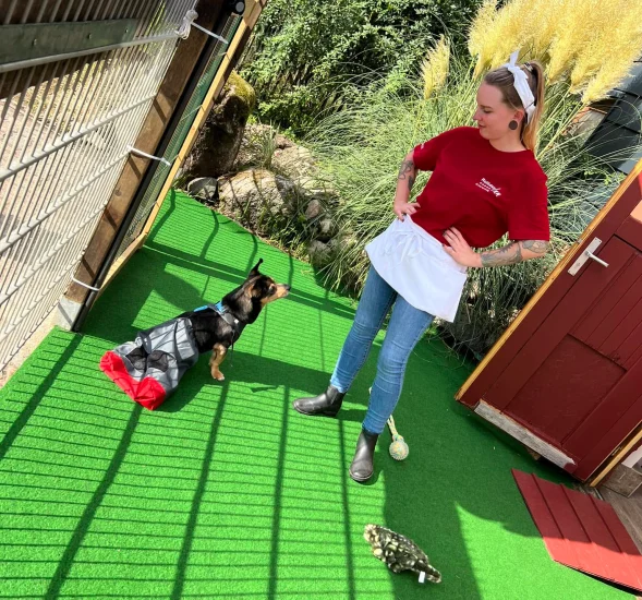 Hundepension für gehandicapte Hunde