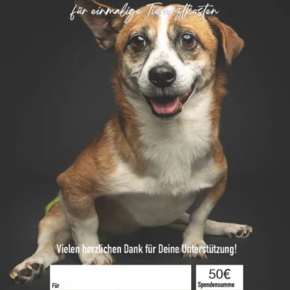 Geschenk-Urkunde Tierarztbesuch
