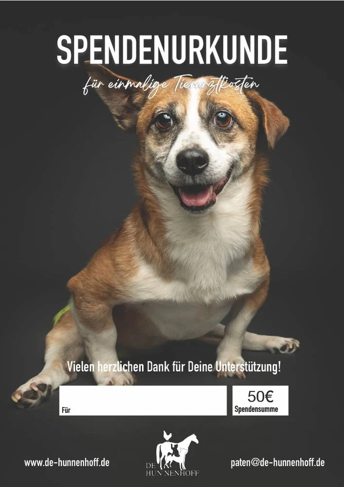 Geschenk-Urkunde Tierarztbesuch