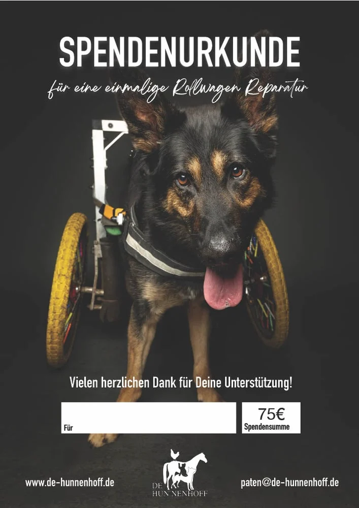 Geschenk-Urkunde Rolli-Reparatur – Bild 2