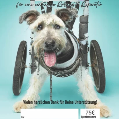 Geschenk-Urkunde Rolli-Reparatur
