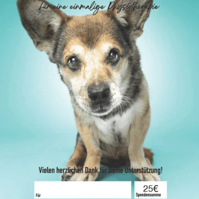 Geschenk-Urkunde Physiotherapie