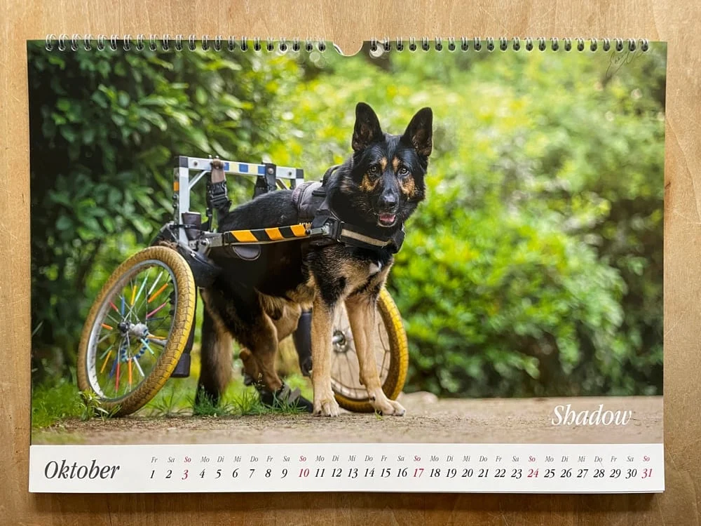 Wandkalender 2027 – Bild 2