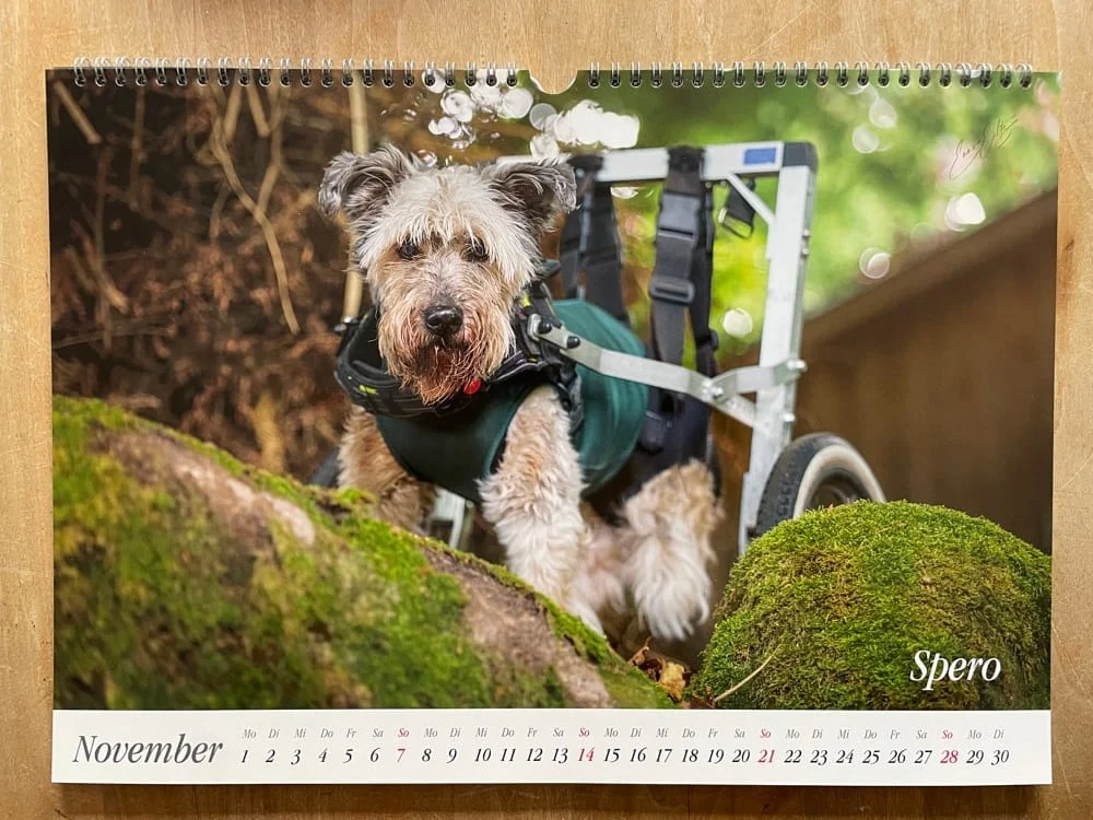 Wandkalender 2027 – Bild 3