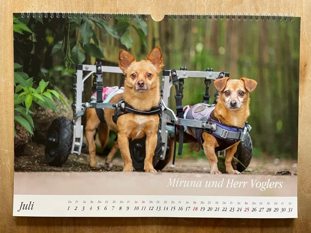 Wandkalender 2027 – Bild 4